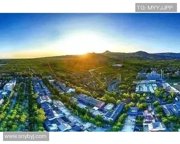 忠县姚明平：探索乡村振兴与篮球文化融合的新路径