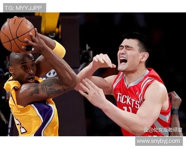 廊坊姚明队友的篮球生涯与成就探秘及其对中国篮球的影响